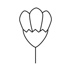 cute flower natural line style icon vector illustration design