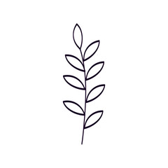 branch with leafs natural line style vector illustration design