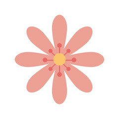 cute flower pink color isolated icon vector illustration design