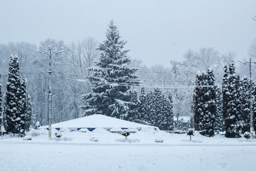 Fototapeta premium winter in the mountains