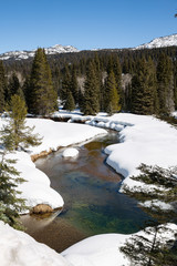 mountain river in late winter