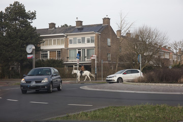 Obraz premium landscapes of The Hague Netherlands