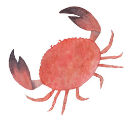 Bright red crab in watercolor