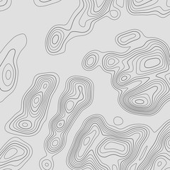 Topographic map lines background. Abstract vector illustration.