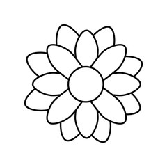 cute flower natural line style icon vector illustration design