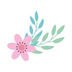 cute flower pink with branches and leafs vector illustration design