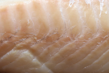 Photography of cod fillet for food background