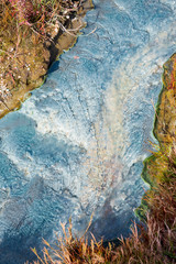 Hot stream closeup of green blue bacteria color plants in water