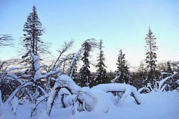 雪景色（フィンランド）