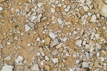 Small stones in the sand on a sunny day.