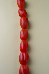 red bright tomatoes on a monotone background