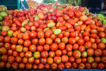 coloridos tomates frescos 