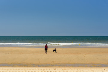Obraz premium Perro labrador negro jugando en la playa
