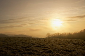 Fototapeta na wymiar Die Sonne hinter dem Nebel