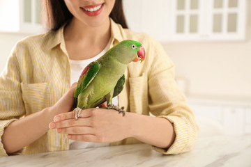Young woman with Alexandrine parakeet indoors, closeup. Cute pet © New Africa
