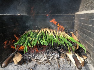 onions at the picnic with the family, spring