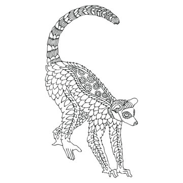 Lemur. Hand drawn picture. Sketch for anti-stress adult coloring book in zen-tangle style. Vector illustration  for coloring page, isolated on white background. Template for poster, t-shirt or tattoo.