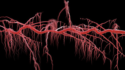 growing roots on black background