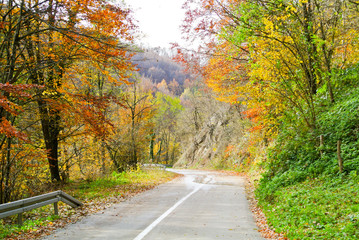Asphalt road through forest in autumn (with trees with colorful yellow, orange, red, brown and green leaves), on mountain Kozara, in national park, near city Prijedor, RS, Bosnia and Herzegovina
