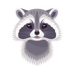 Funny Raccoon Portrait on White
