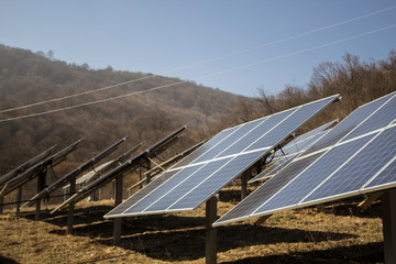 solar panels on the field