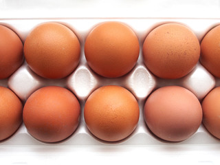 Ten chicken eggs in a plastic box , healthy organic product, brown eggs on a white background. Useful natural product for a healthy diet.
