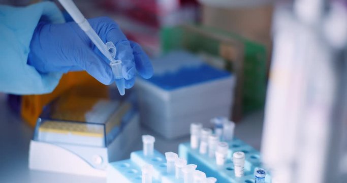 scientist working in laboratory microbiology