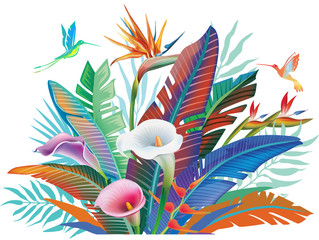 Tropical jungle plants, flower and hummingbirds © Viktoriia Protsak