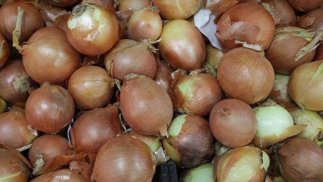 Closeup of fresh ripe onion on market counter, onion background