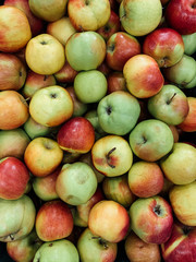 lots of ripe delicious sweet apples to eat like a background