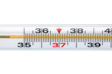 thermometer isolated on white background, focus on 37 degree