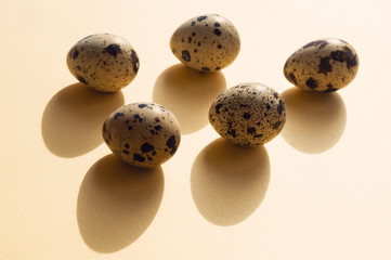 Obraz premium Five quail eggs with shadows on the yellow background. Minimalistic conceptual composition for Easter Holiday.