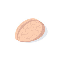 Brain vector 3d isometric, color web icon, new flat style. Creative illustration design, graphic idea for infographics.
