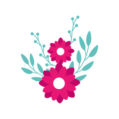 cute flowers pink with branches and leafs vector illustration design