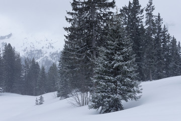 Paysage enneige du mont blanc dans les alpes
