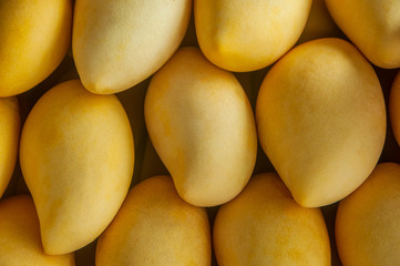 Naklejka na ściany i meble Pile of yellow ripe mango on shop's display.