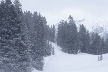 Paysage enneige du mont blanc dans les alpes