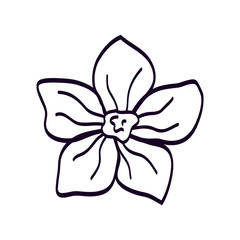 cute flower natural line style icon vector illustration design