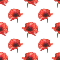 watercolor pattern with red poppies