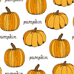Pumpkin color vector seamless pattern, hand drawn squash sketch isolated on white background with text