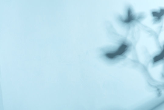 Decorative corner frame with soft shadows from twig of exoptic orchid flower on a pastel blue background. Greeting card.