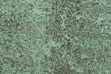 Nice green textured backgound, close up