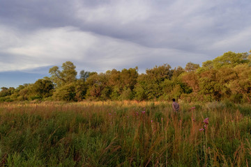 Obraz premium Human and grassland