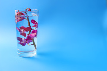 spa Background - Blurred pink orchid in a glass with water. Bubbles on the flowers. Organic cosmetics. Natural water.