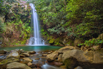 waterfall and pool surrounded by vegetation in a small canyon