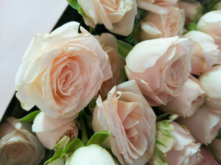 Obraz na płótnie Canvas Large bouquet of medium-sized light pink roses. 