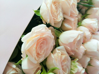 Large bouquet of medium-sized light pink roses. 