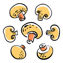 Champignon, mushroom, sliced. Colorful sketch of vegetables isolated on white background. Doodle hand drawn vegetables. Vector illustration