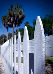 A white picket fence guards a small-town home in Florida under the shade of tall palm trees under a clear blue sky.