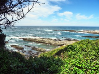 Tsitsikamma Nationalpark - Nationalpark am Ende der Garden Route in Südafrika 